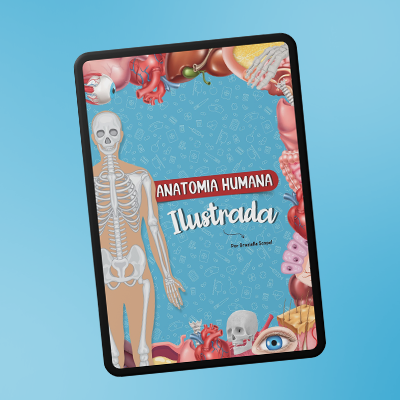 Anatomia Humana Ilustrada